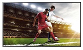 LG 55 in UT640S Series UHD Commercial Signage TV 
